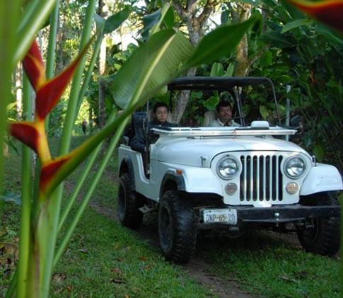 Finca Argovia