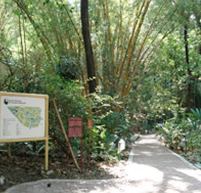 El Jardín Botánico “Faustino Miranda” exhibe más de 900 especies