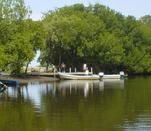 Barra de San José