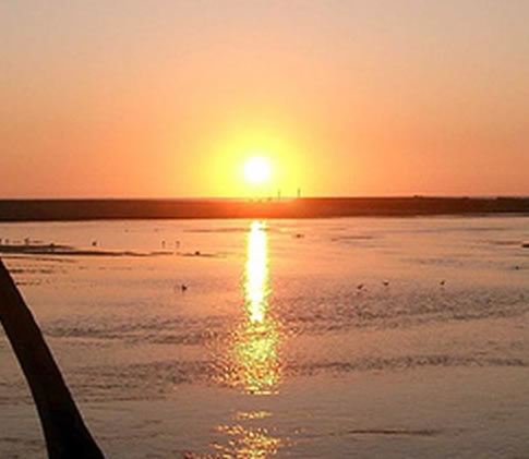 Barra San Simón